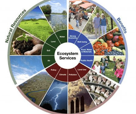 Biodiversity Conservation